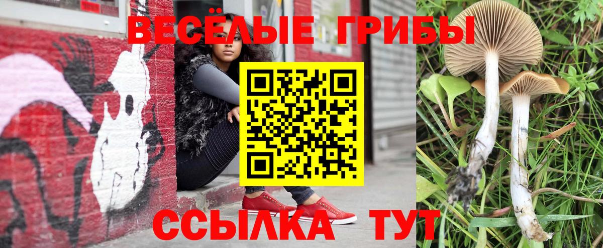 Галлюциногенные грибы прущие грибы  Вход с VPN  Черногорск 